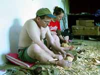 fig. 11. Click for enlarged view