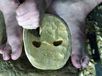 fig. 13. Click for enlarged view