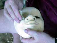 fig. 19. Click for enlarged view